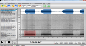 WASIS - Wildlife Animal Sound Identification System